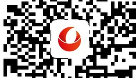 勇士背靠背战鹈鹕开云用户体验：希尔德独得21分，锡安三分5中0，盘点精彩对决