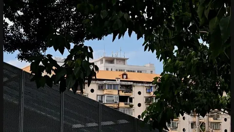 小萨交易传闻开云APP体育：国王与黄蜂未曾接触官方澄清真相